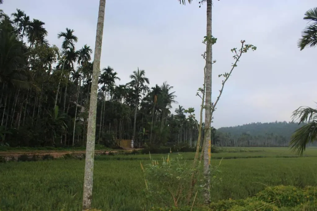 Wayal Wayanad Twin Villa Panamaram