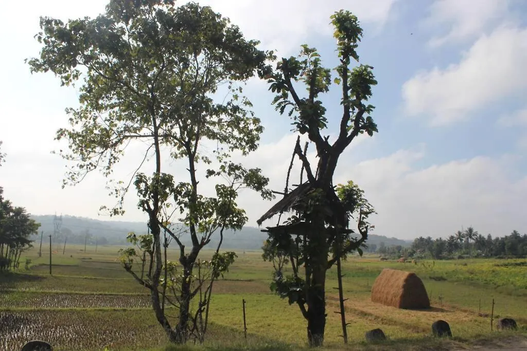 Wayal Wayanad Twin Villa Panamaram