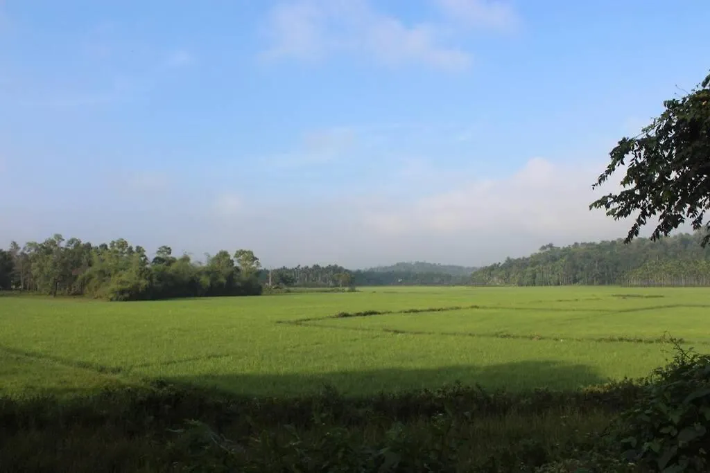 Wayal Wayanad Twin Villa Panamaram