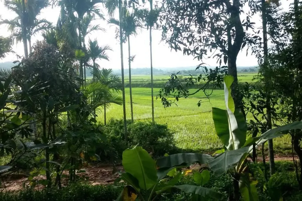 Wayal Wayanad Twin Villa Panamaram Индия