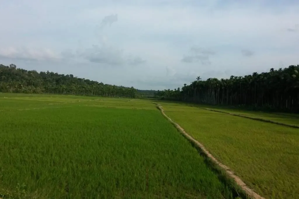 Wayal Wayanad Twin Villa Panamaram 0*,